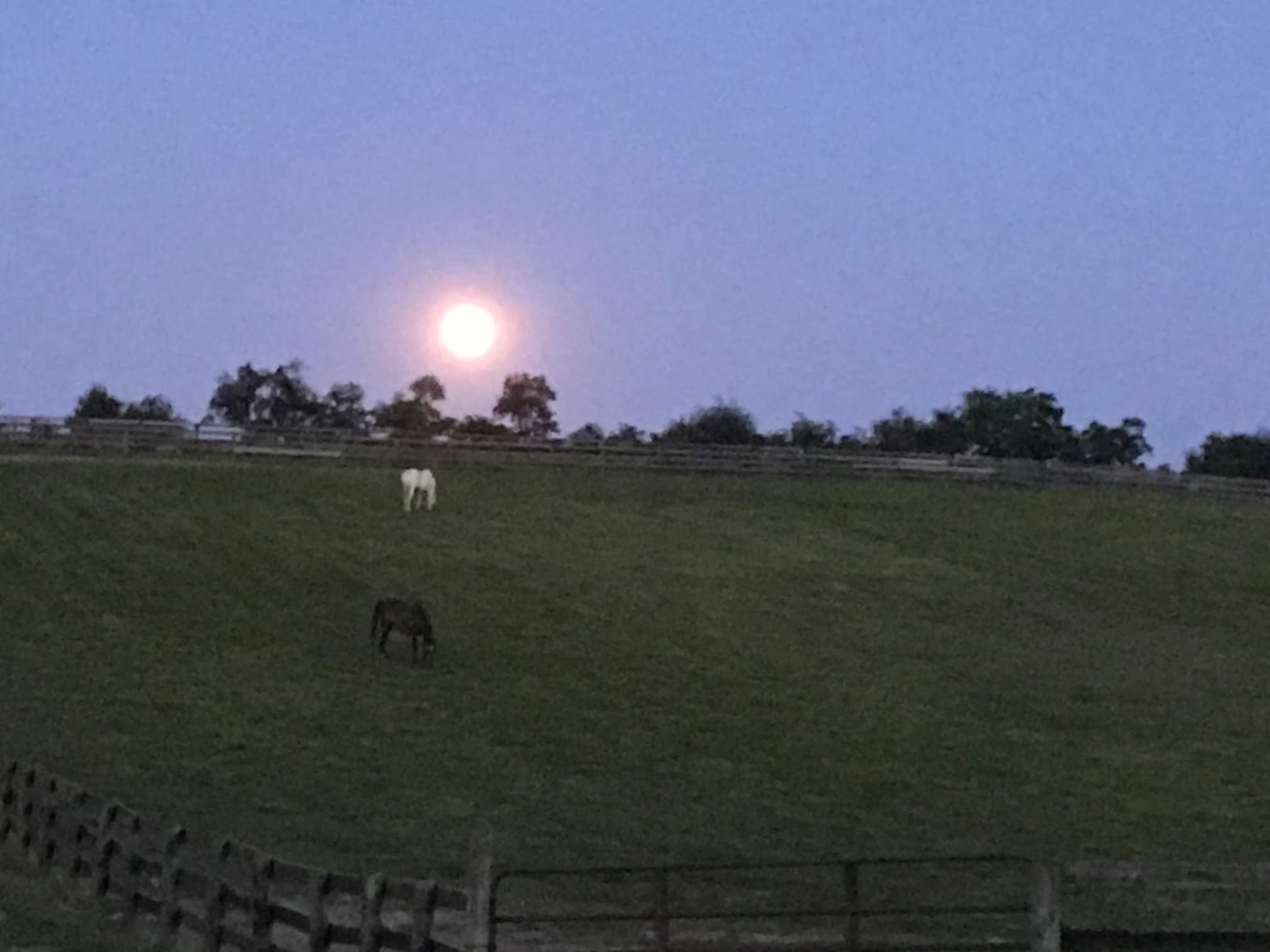 The farm on a perfect June night.