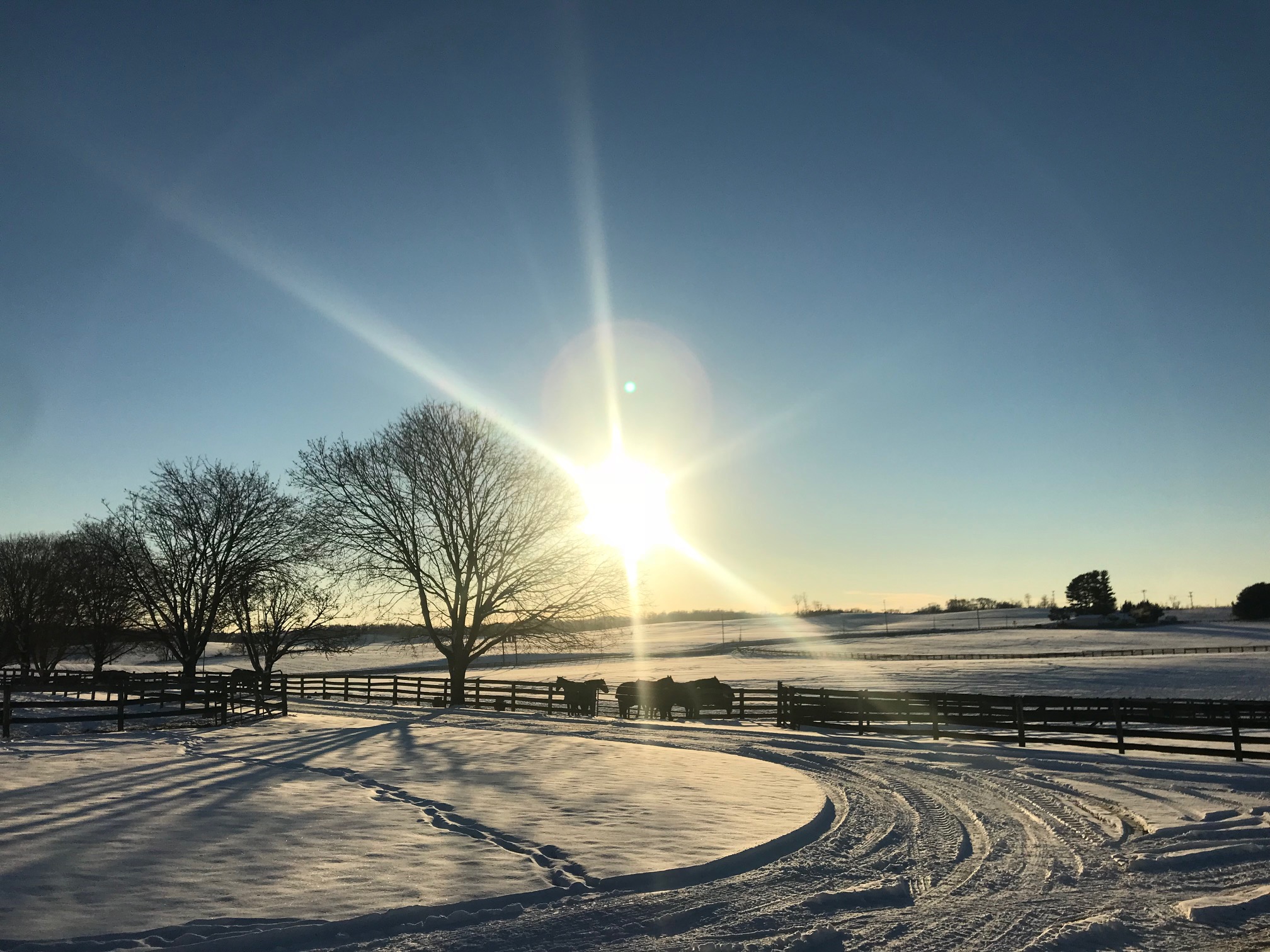 A snowy sunset on the farm.